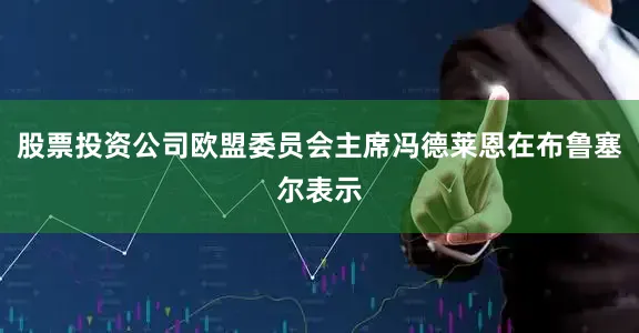 股票投资公司欧盟委员会主席冯德莱恩在布鲁塞尔表示