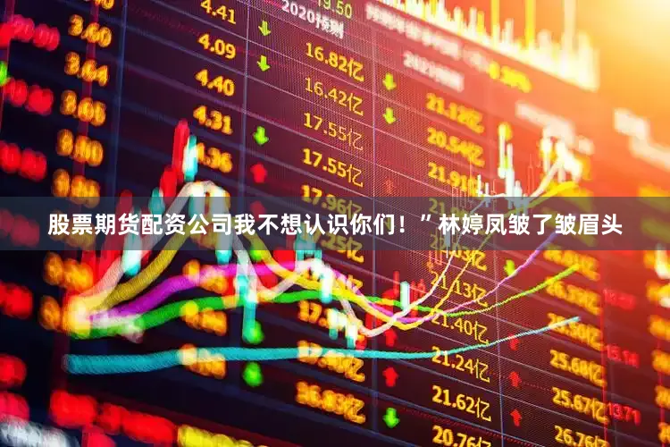 股票期货配资公司我不想认识你们！”林婷凤皱了皱眉头